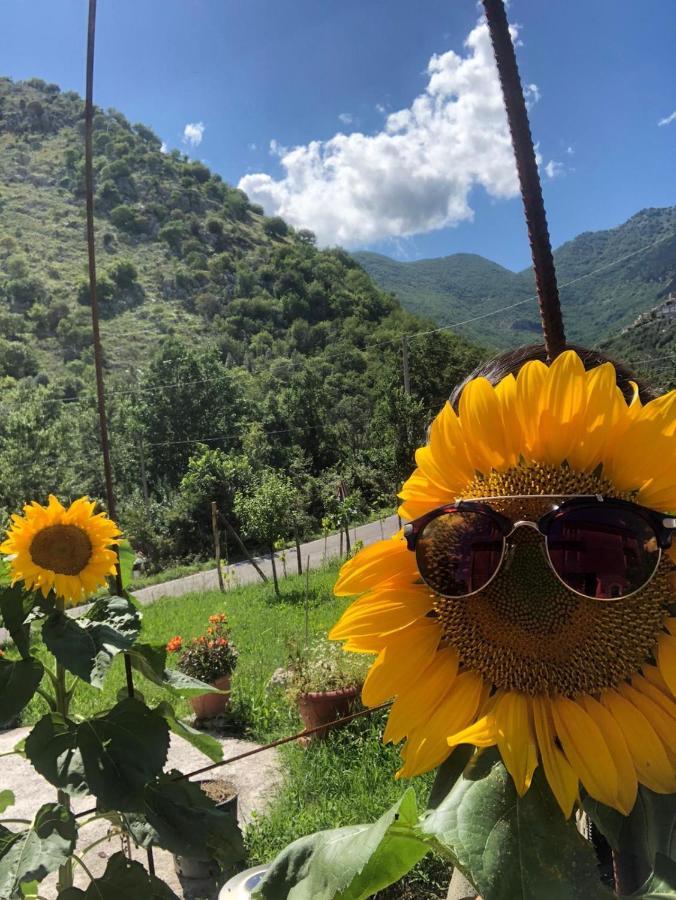 Villa Iannetta Di Monte Cassino Belmonte Castello ภายนอก รูปภาพ